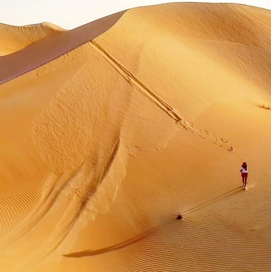 ทะเลทรายนามิบ (Namib Desert)