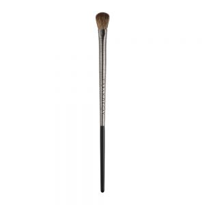 3605971171697_udpro_brushes_iconiceyeshadow
