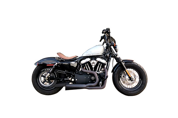 2010 Harley Davidson Sportster 48 