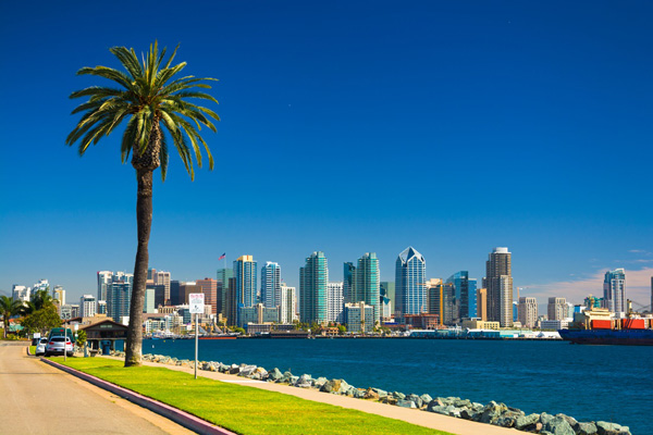 Downtown San Diego skyline view with the San Diego Bay, a waterfront walkway, and a palm tree in the foreground, and a nearly clear deep blue sky in the background.