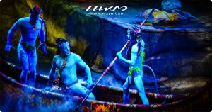 Cirque du Soleil Toruk The First Flight