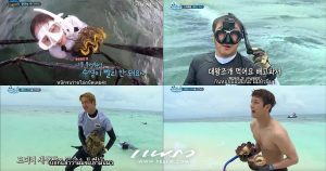 Law Of The Jungle