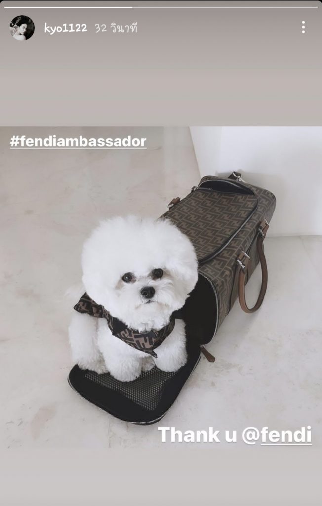 Fendi Ambassador