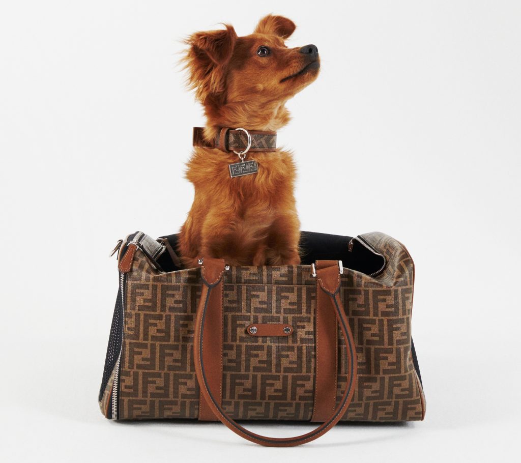กระเป๋า Fendi Pet Travel Line Pet Carrier Bag