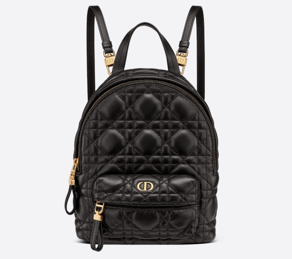 กระเป๋าเป้ Dior-2