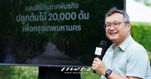 Sansiri Tree Story Cover