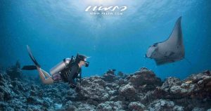 IHGHotels & Resorts Cover