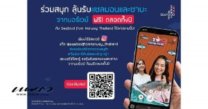 NSC Cover