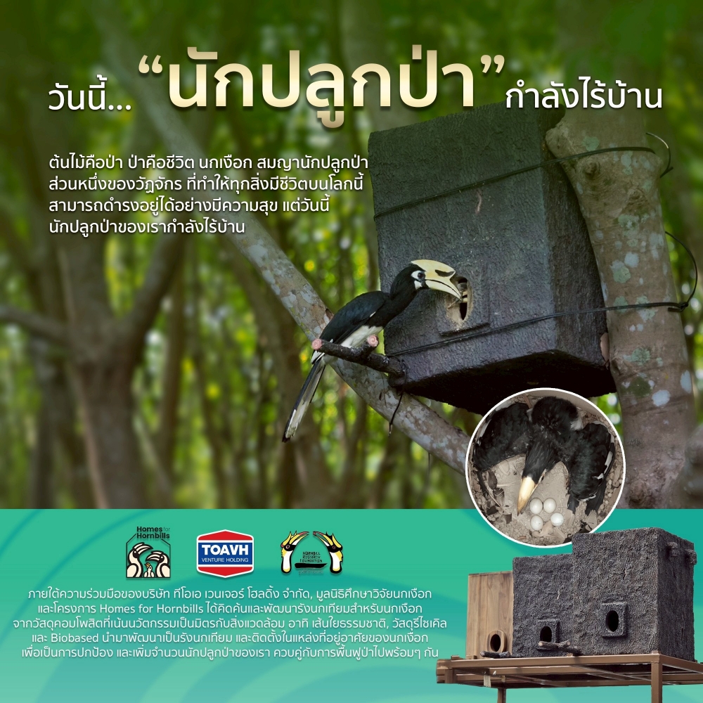 TOAVH RUN X Homes for Hornbills
