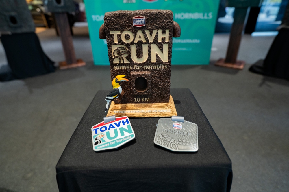 TOAVH RUN X Homes for Hornbills